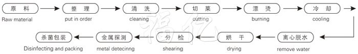 脱水蔬菜带式干燥工艺流程
